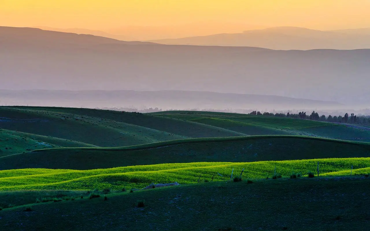 先进高质量智能